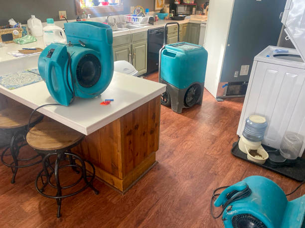 Best Ceiling water damage repair  in Mount Cob, PA