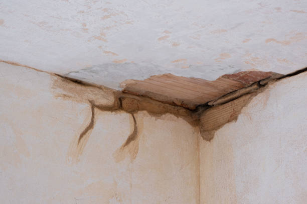 Best Water damage restoration mold remediation  in Mount Cob, PA