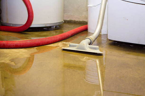 Best Mold removal after water damage  in Mount Cob, PA