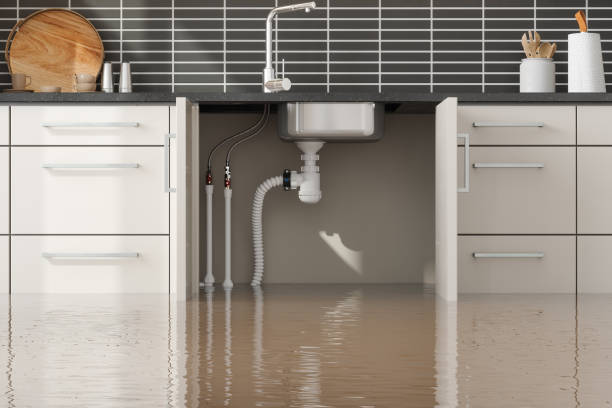 Best Water damage cleanup near me  in Mount Cob, PA